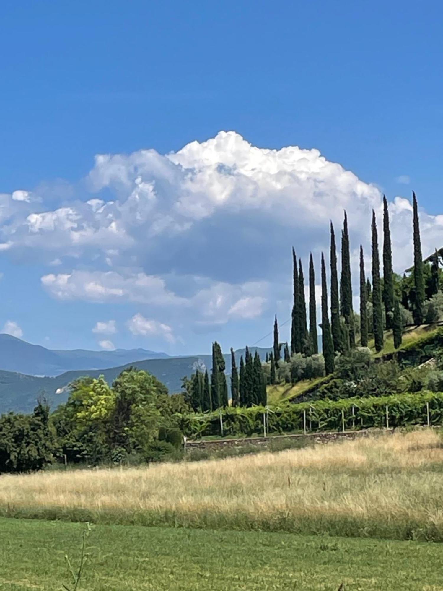 La Casa In Collina Appartement Caprino Veronese Buitenkant foto